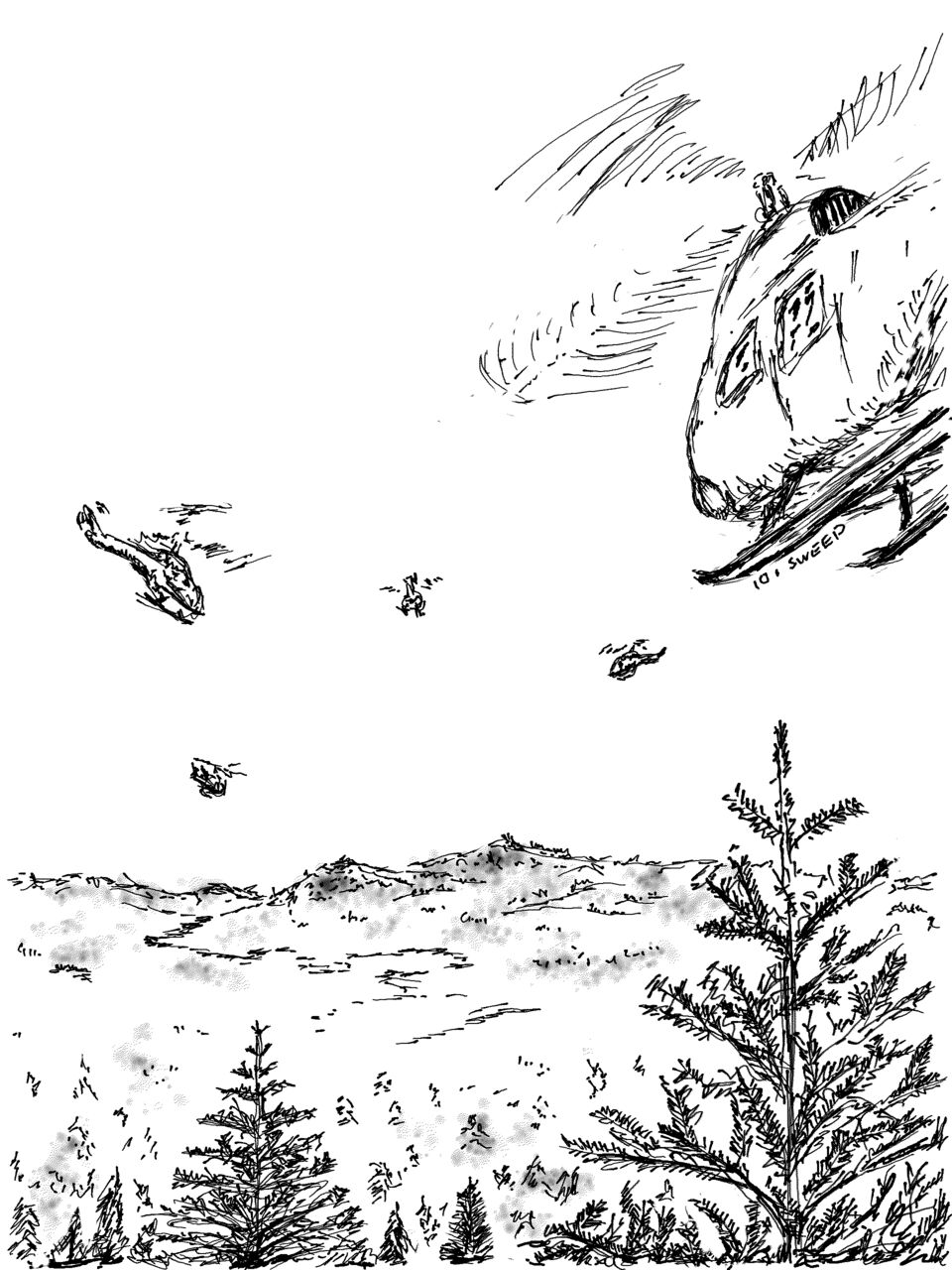 A group of helicopters fly over a coniferous forest towards distant mountains and rivers